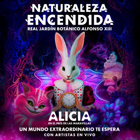 Alicia 2026